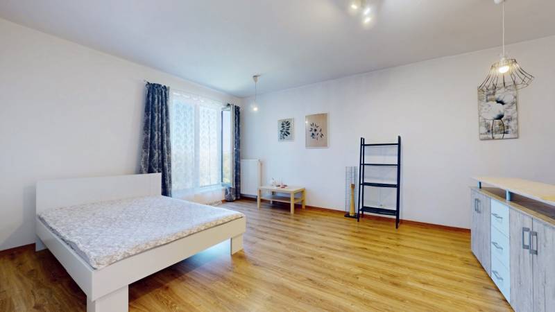 A spacious room with a bed, wooden floor, wall decoration, and a large window in a studio apartment.