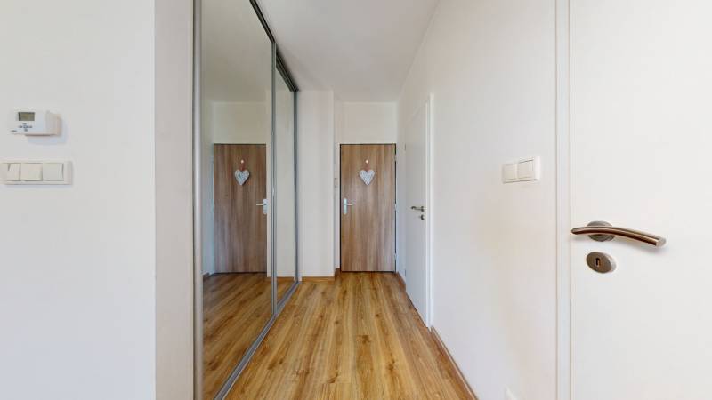 A hallway with a wooden floor, a mirrored wardrobe, and doors, a studio apartment.
