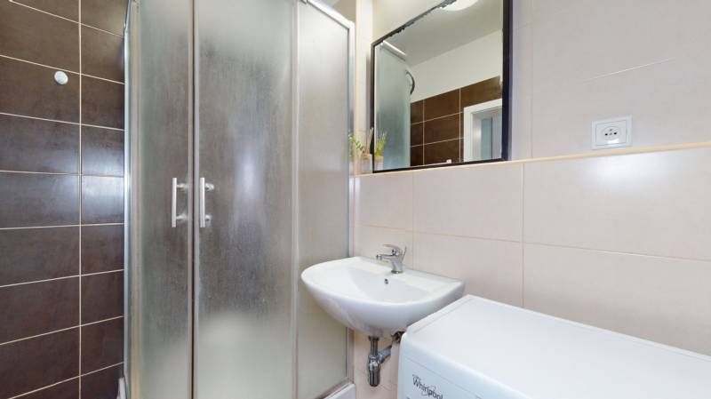 Bathroom with a sink, shower, and washing machine in a studio apartment.