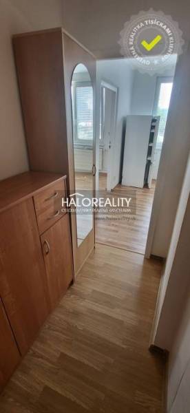A narrow hallway with wooden furniture in a studio apartment, light is coming in from the adjacent room.