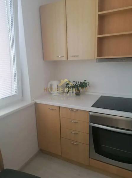 A kitchen in a studio apartment with cabinets, a cooktop, and a plant on the windowsill.