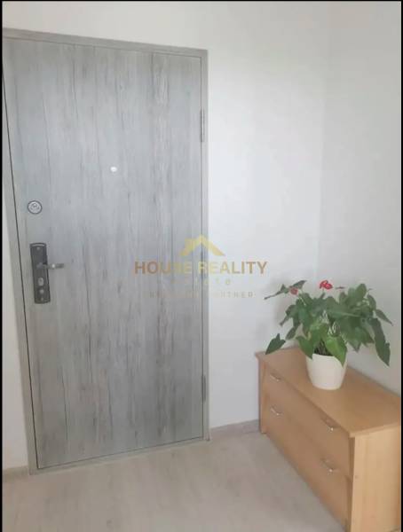 Entrance door and cabinet with a plant in a studio apartment.