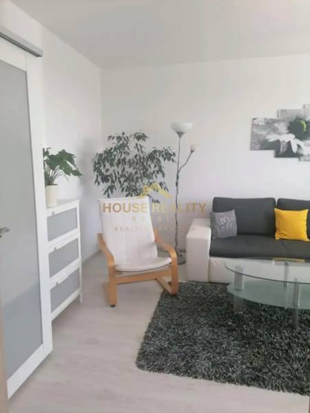 Living room in a one-bedroom apartment with a gray sofa, an armchair, and a plant.