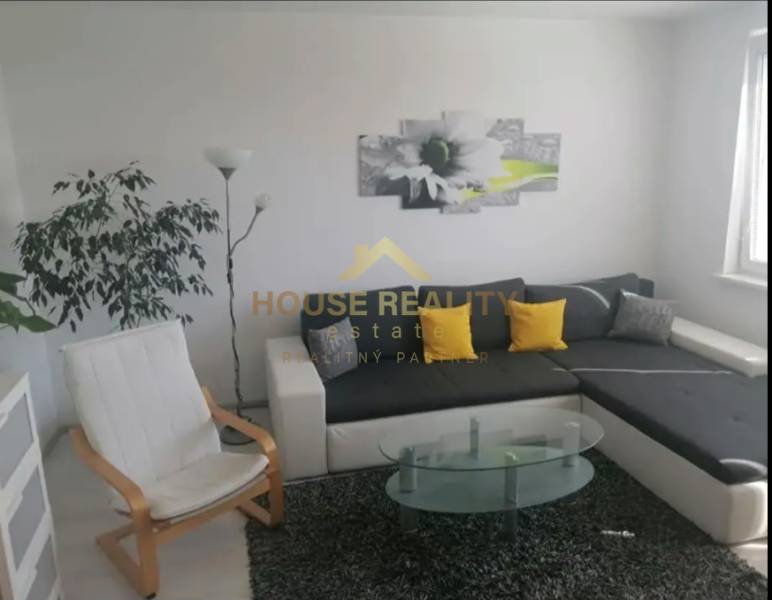 Living room in a one-bedroom apartment with a sofa, armchair, table, and plant.