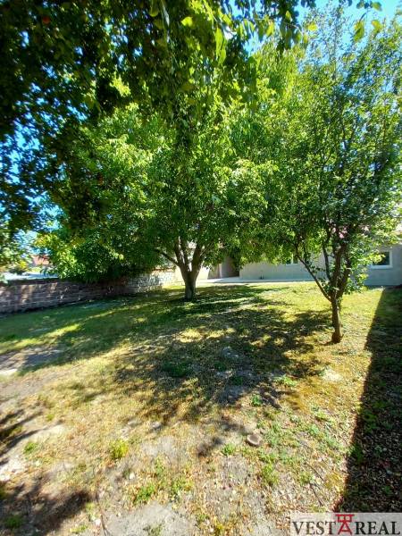 Garden in Trakovice near a family house with dense vegetation and lawn.