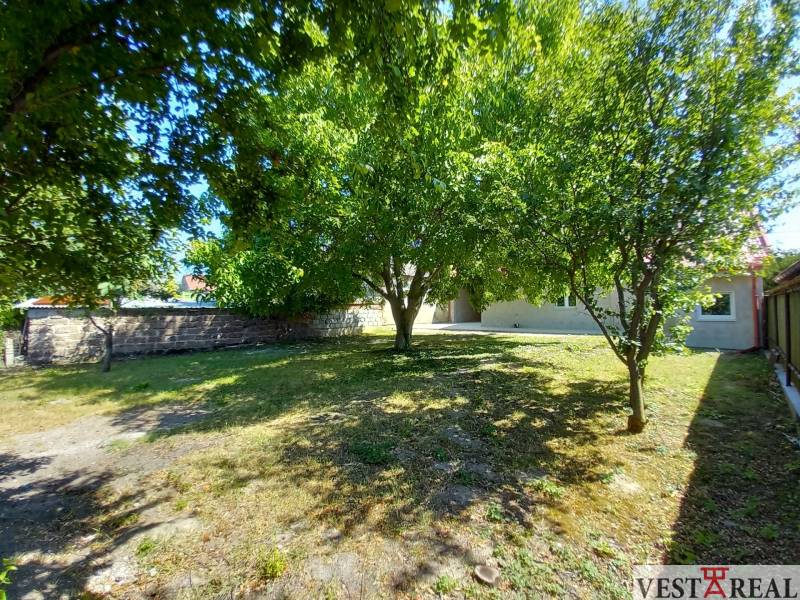 The garden of a family house in Trakovice with fruit trees and a grassy area.