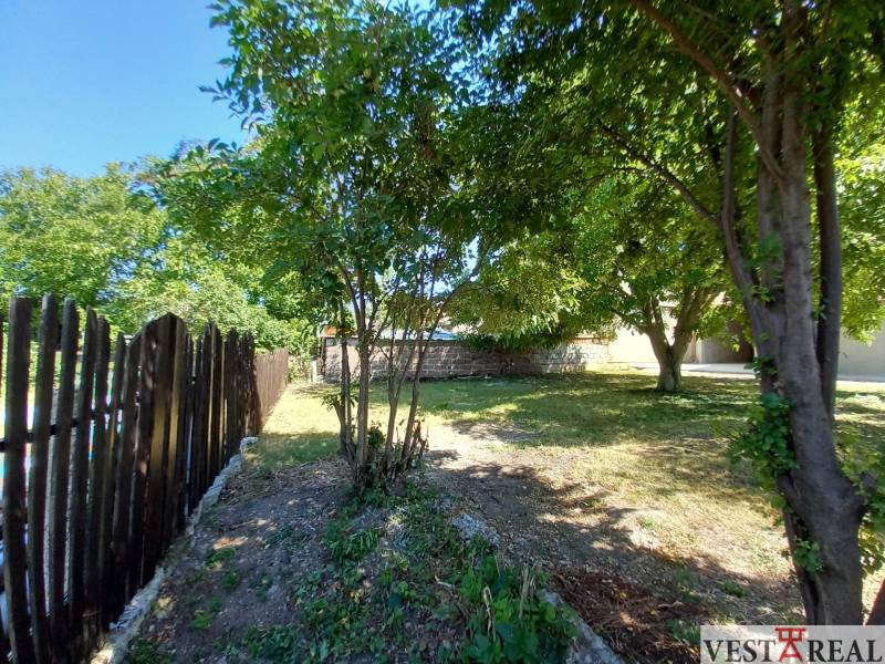 A garden in Trakovice by a family house with a wooden fence and trees.