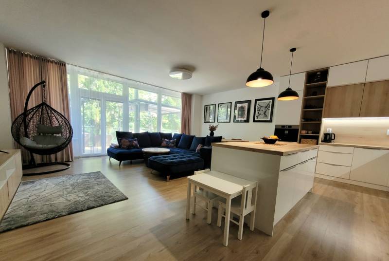 Living room in a 3-room apartment with a kitchen island, sofa, and swing.