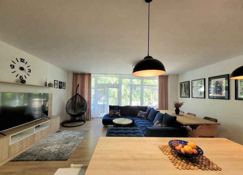 Living room in a 3-room apartment with a blue sofa, large windows, and a hanging chair.
