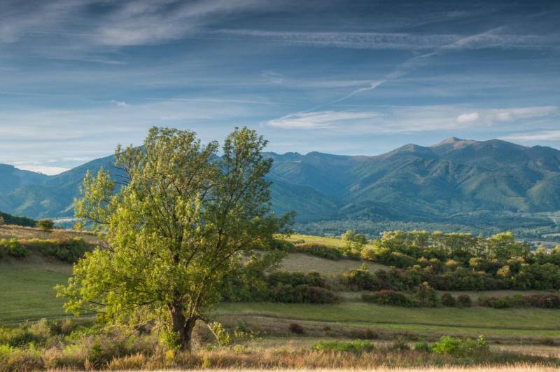 Landscape of agricultural and forest land near Sučany with a panorama of mountains and a tree in the foreground.