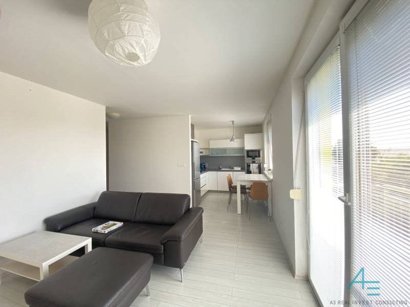Living room in a 3-room apartment with a kitchen, leather sofa, and dining table.