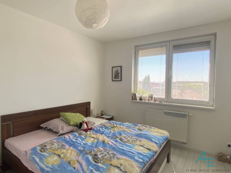 A bedroom in a three-room apartment with a sunny window, a large bed, and houseplants.