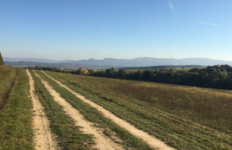 Agricultural and forest land, a dirt road with a view of the hills around Prievidza.