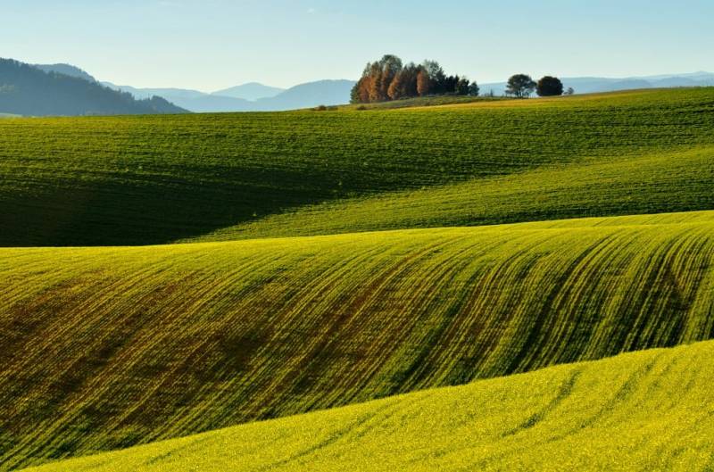 Agricultural and forest lands in Ladomirová with diverse greenery and trees on the horizon.