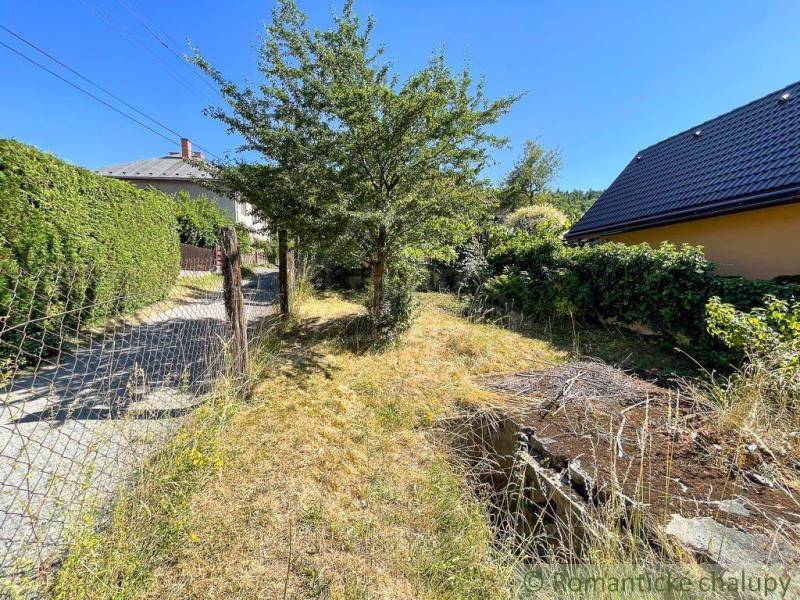 A garden at a family house in Banská Bystrica, grass, a tree, and a fence in the sun.