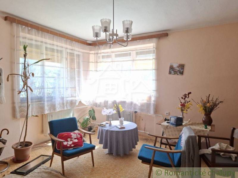 Living room of a family house with blue armchairs, a table, and flowers.