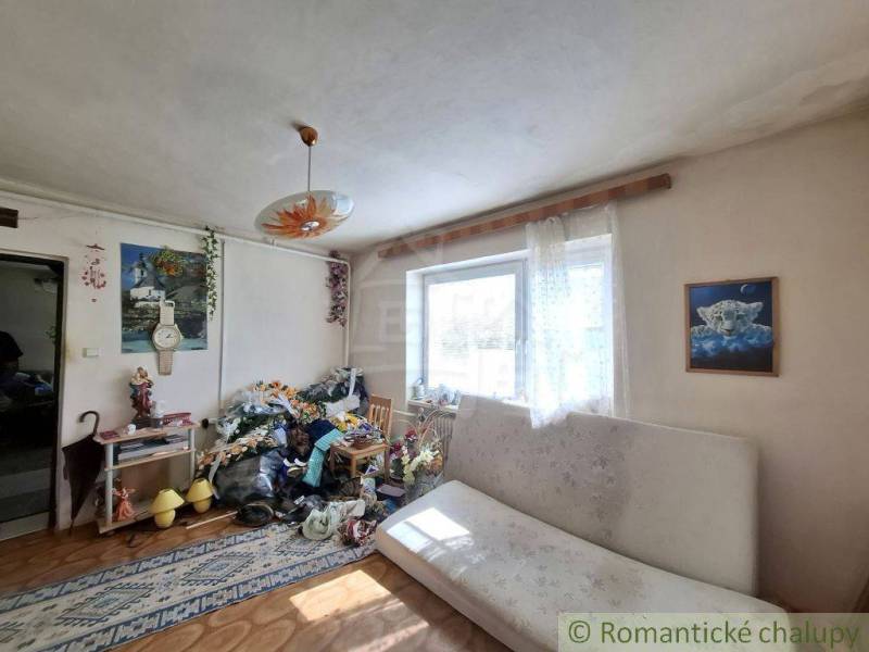 Living room of a family house with a sofa, flowers, and decorations on the walls.