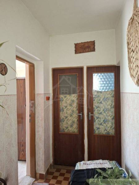 Hallway in a family house with patterned doors and plants.