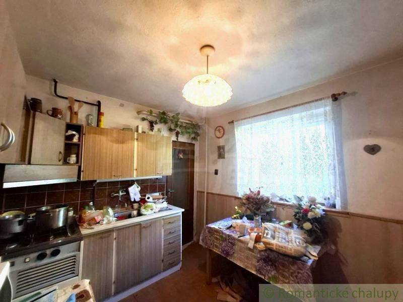 A kitchen in a family house with a countertop, a table, and flowers on the window.