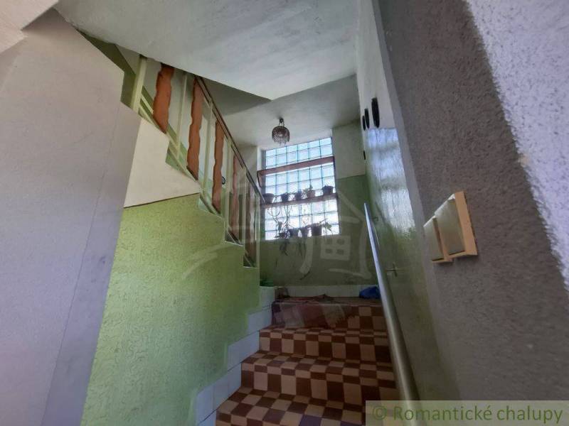 A staircase in a family house with flowers on the window and a railing.