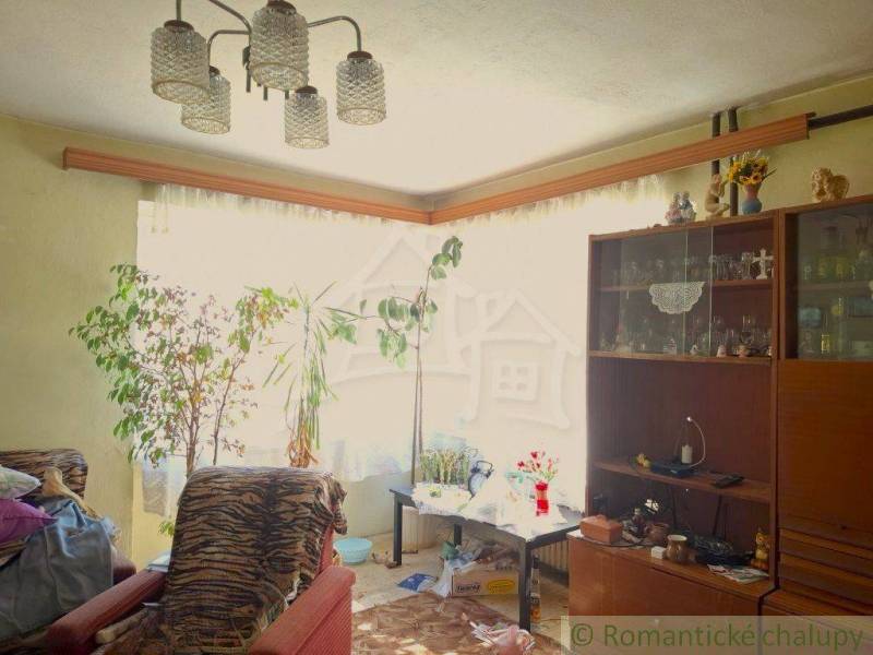 A living room in a family house with furniture and plants by a large window.