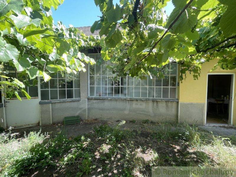 A garden in front of a family house in Nové Zámky with a glass veranda and greenery.