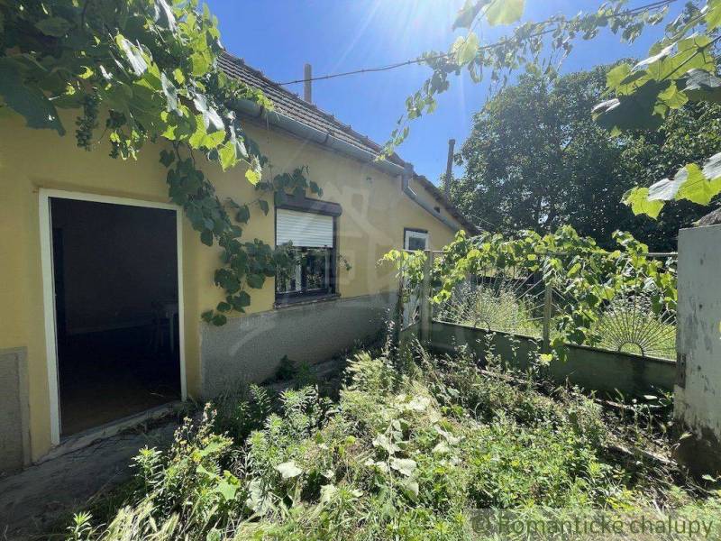 A family house in Nové Zámky with climbing plants on the facade and a neglected garden.