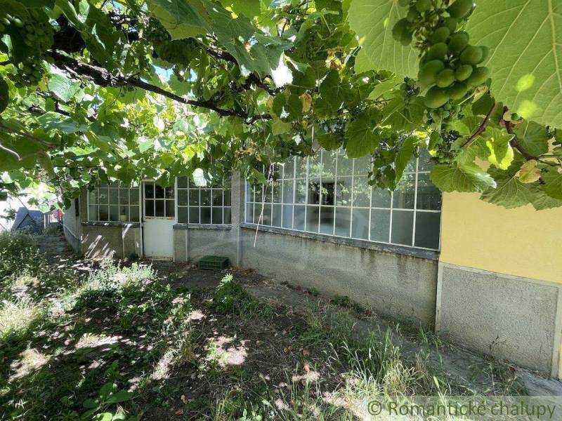 A garden at a family house in Nové Zámky with a vineyard and a glass veranda.