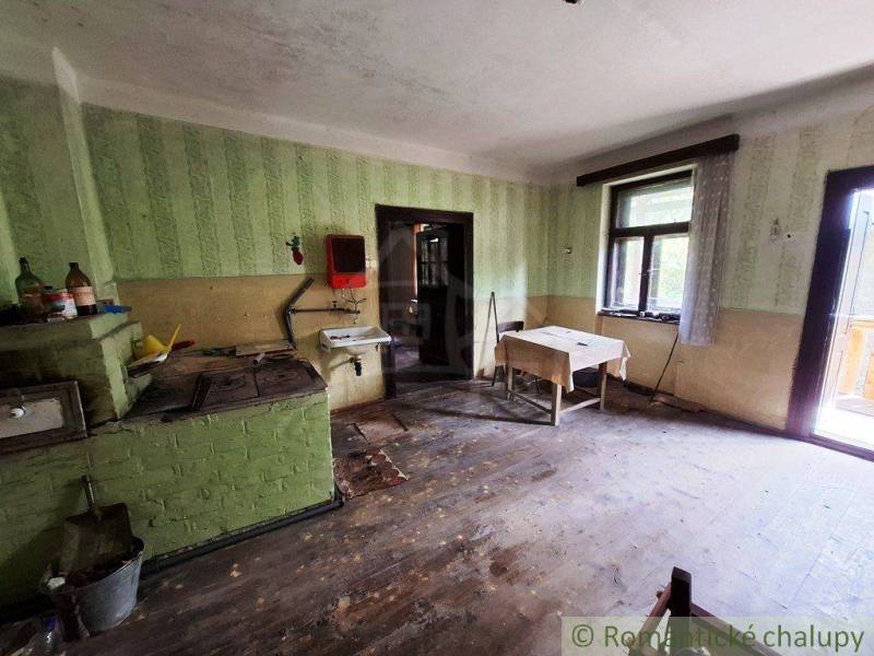 A kitchen in a family house with simple furnishings, wooden floor, and green walls.