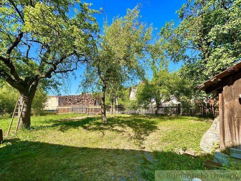 The garden of a family house in Gemerská Poloma, with fruit trees and a wooden fence.