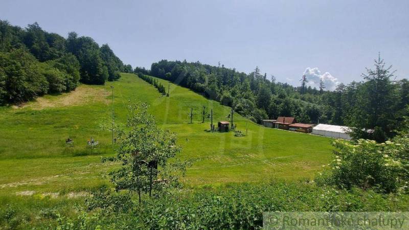 A ski slope surrounded by forests in Stará Myjava during the summer season.