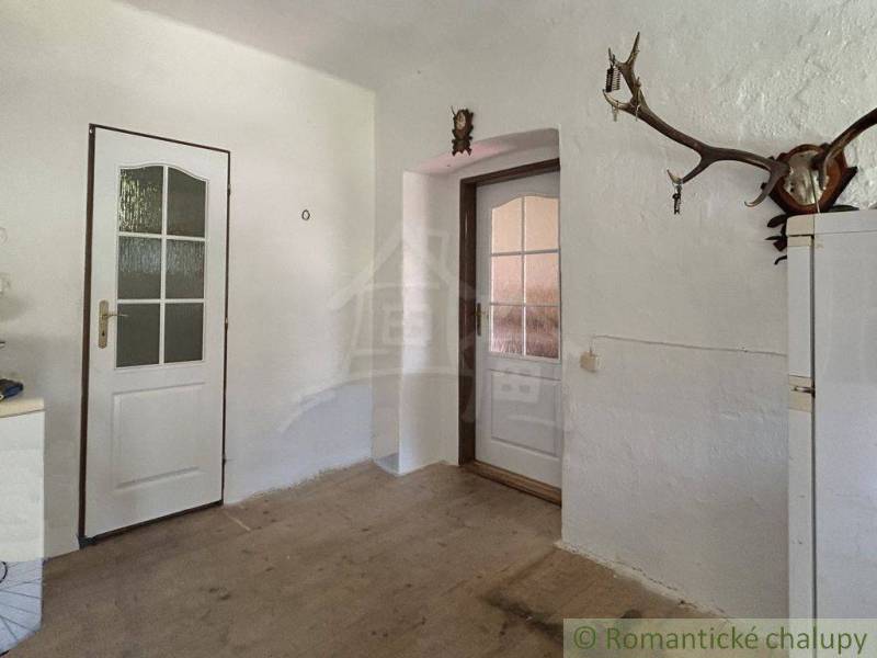 White room with two doors and antlers in a family house.