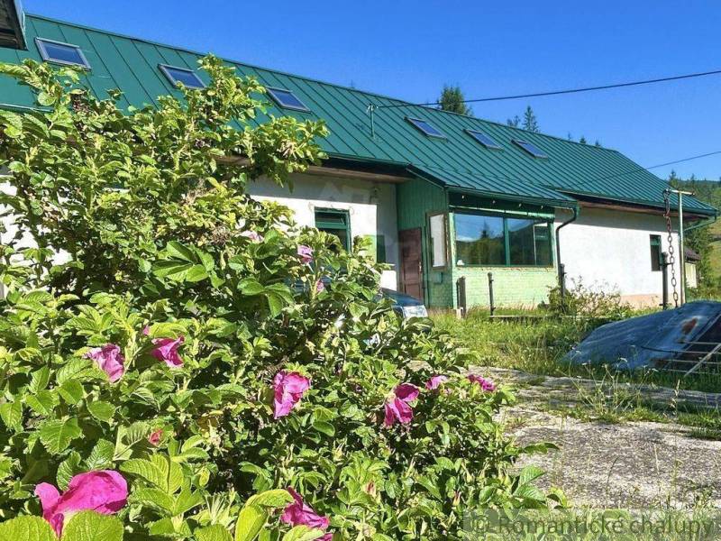 A family house in Spišská Nová Ves with greenery and pink flowers in the garden.