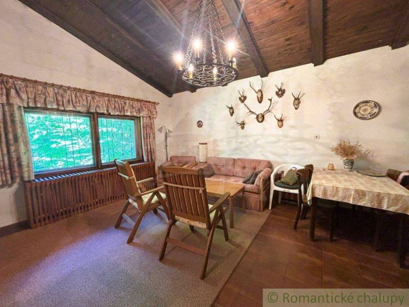 Interior space of a family house with a wooden ceiling, hunting decorations, and seating.