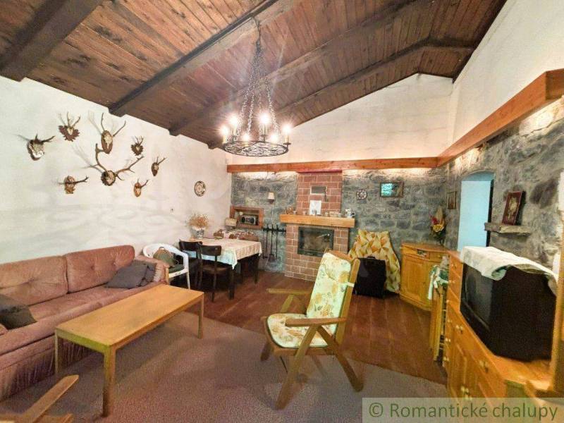 Rustic interior of a family house with a fireplace, hunting trophies, and a wooden ceiling.