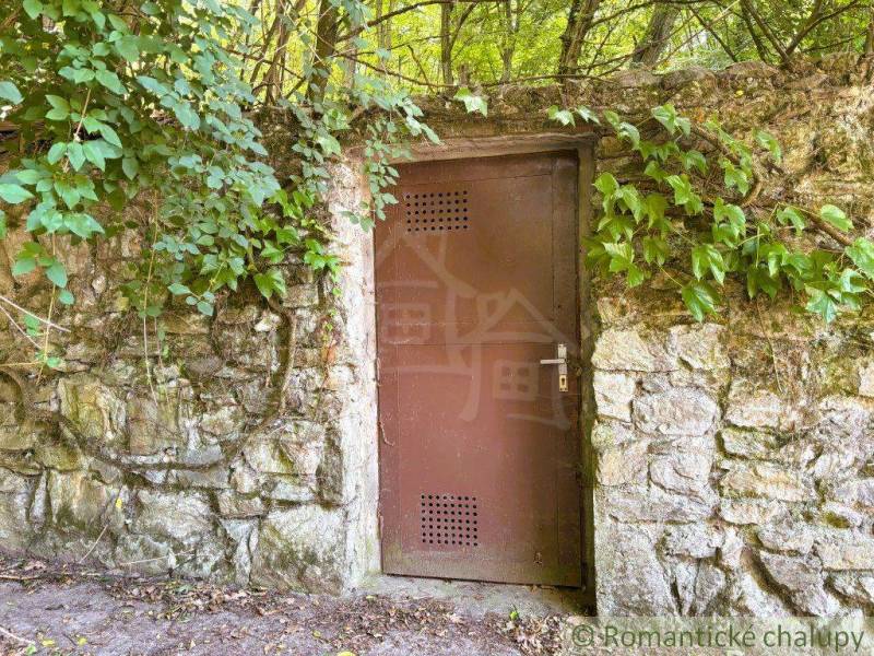 Stone wall with brown door, covered with green plants in Malacky.