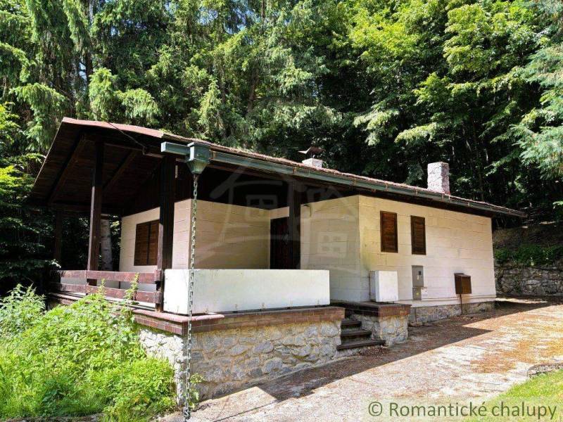 A family house in the town of Malacky surrounded by forest with a sloped roof and a terrace.
