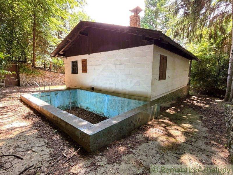 A family house in Malacky with a pool surrounded by greenery and a paved path.