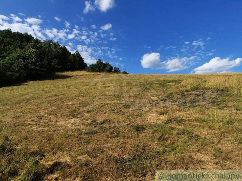 A grassy meadow with trees under a blue sky around the Gardens in Žarnovica.