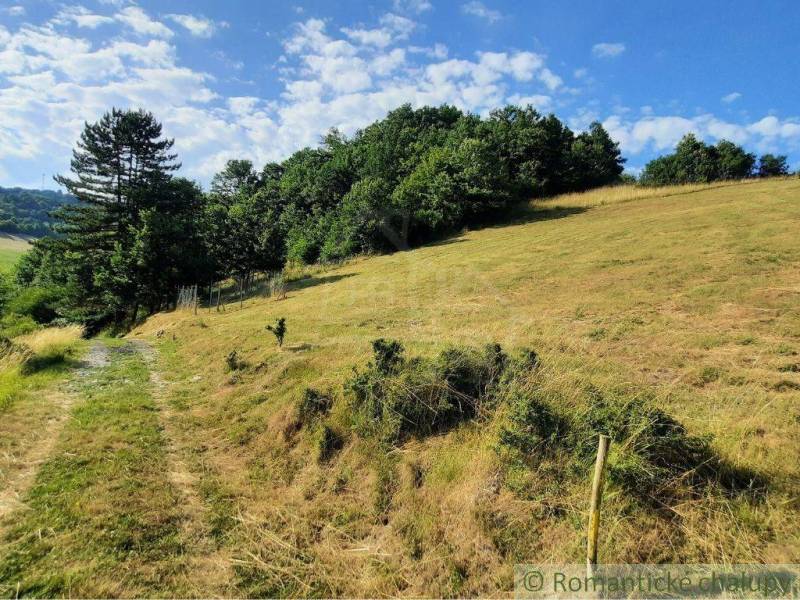Hilly terrain with a path, grassy areas, and trees in Žarnovica, Záhrady.