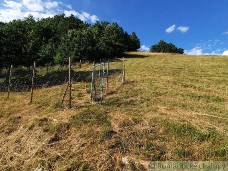 A plot on a grassy hill in the gardens of Žarnovica, with a forest landscape in the background.