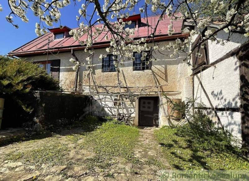 A blooming apple tree in front of a cottage in Rožňava and a simple stone path.