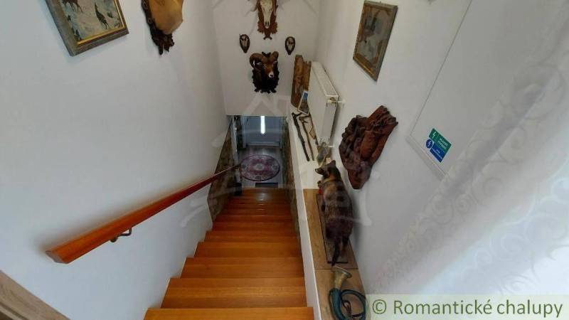 A staircase in a family house decorated with hunting trophies and paintings.