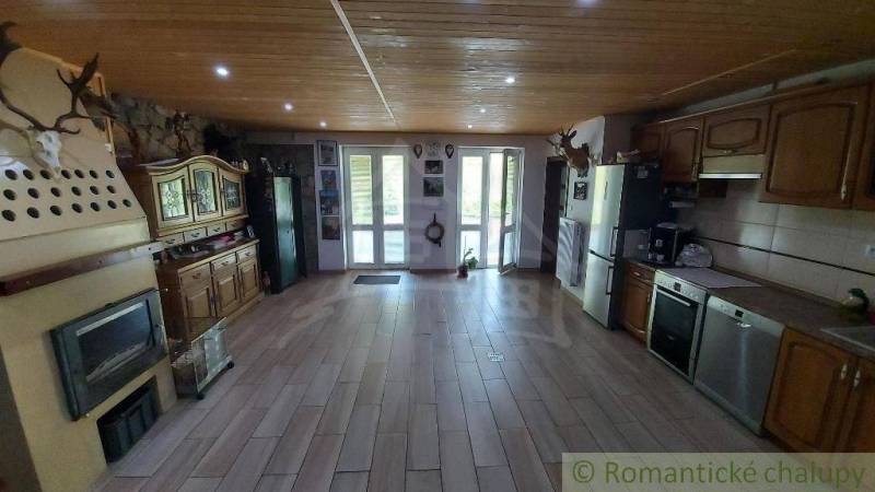 Interior of a family house with a fireplace, wooden decor, and trophies on the walls.