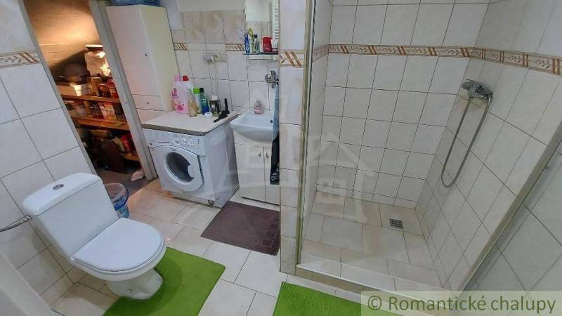 A bathroom in a family house with a shower and a washing machine, next to it is a toilet bowl.