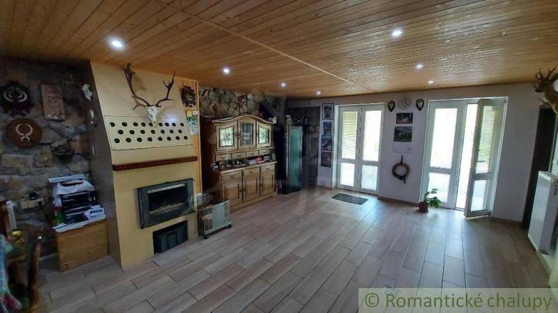 Living room in a family house, light wooden ceilings, fireplace, showcase, hunting trophies.