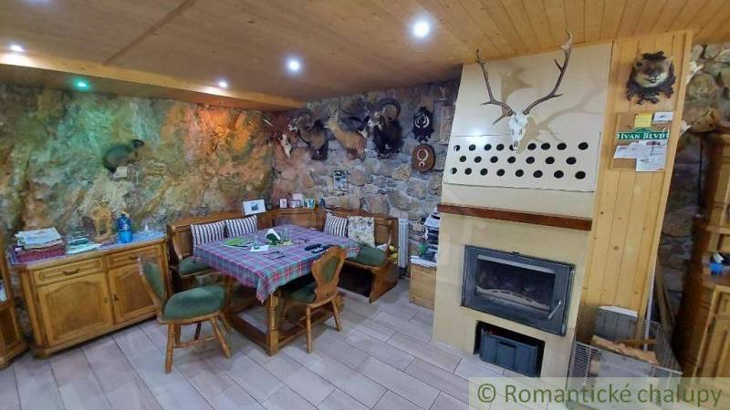 Rustic living room in a family house with a fireplace and hunting decorations.