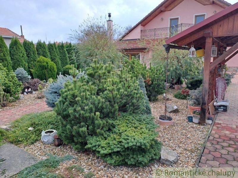A family house in Zlaté Moravce with a landscaped garden and greenery, lined with walkways.