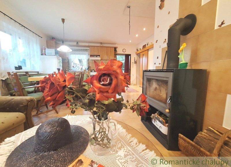 Interior of a family house with a fireplace, wooden chairs, and a vase with red roses.