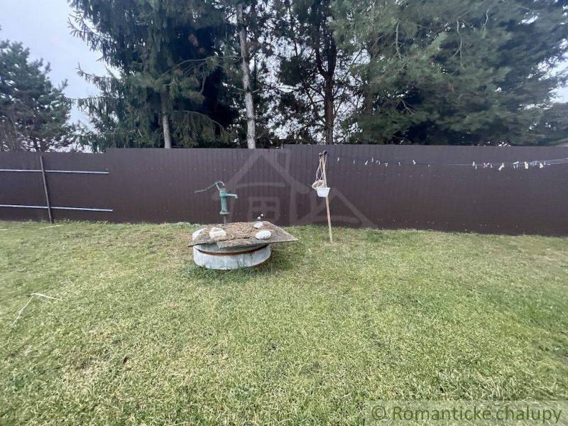 Well, pump, and garden behind the family house providing a peaceful place to relax.